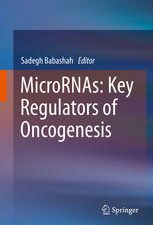 micrornas: key regulators of oncogenesis