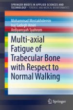 multi axial fatigue of trabecular bone with respect to normal walking