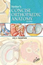 netter s concise orthopaedic anatomy 2nd edition netter basic science