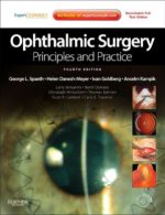 ophthalmic surgery principles and practice expert consult 4th edition