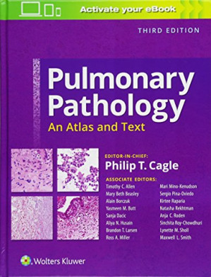 pulmonary pathology an atlas and text 3rd edition