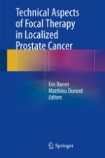technical aspects of focal therapy in localized prostate cancer