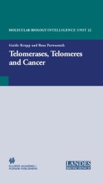 telomerases telomeres and cancer