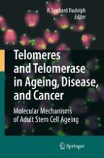 telomeres and telomerase in ageing disease and cancer