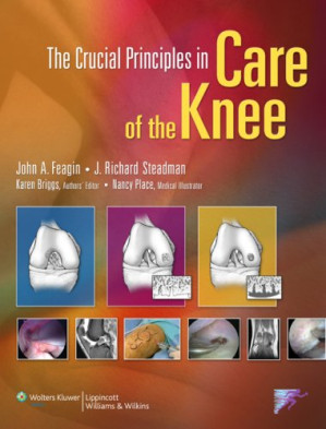 the crucial principles in care of the knee