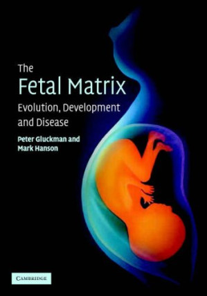 the fetal matrix