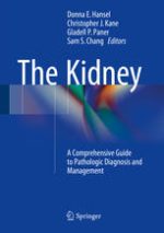 the kidney a comprehensive guide to pathologic diagnosis and management
