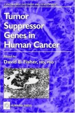tumor suppressor genes in human cancer