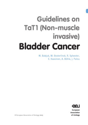 urologic an issue of salvage therapies for non muscle invasive bladder cancer e book the clinics surgery