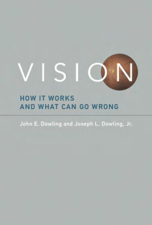 vision how it works and what can go wrong