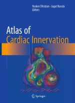 atlas of cardiac innervation