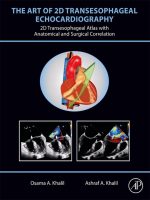 atlas of transesophageal echocardiography 2 edition