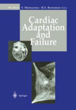 cardiac adaptation and failure