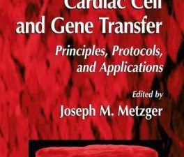 cardiac cell and gene transfer