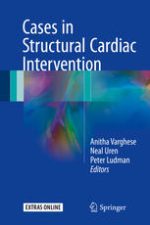 cases in structural cardiac intervention