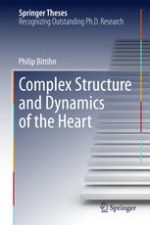 complex structure and dynamics of the heart