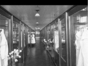 fever hospitals and fever nurses a british social history of fever nurses a national service