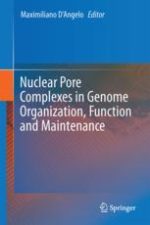 nuclear pore complexes in genome organization function and maintenance